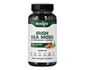 Irish Sea Moss